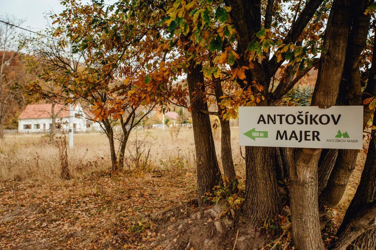 Antosikov Majer Pension Banská Štiavnica Buitenkant foto